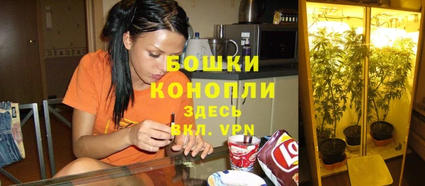 крисы Алексеевка