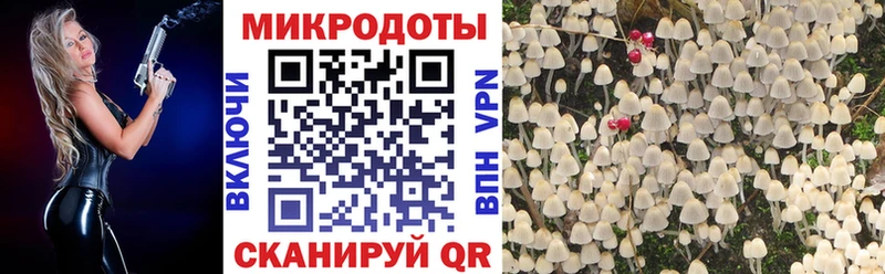 Псилоцибиновые грибы ЛСД  закладка  Спас-Клепики 